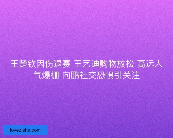 王楚钦因伤退赛 王艺迪购物放松 高远人气爆棚 向鹏社交恐惧引关注