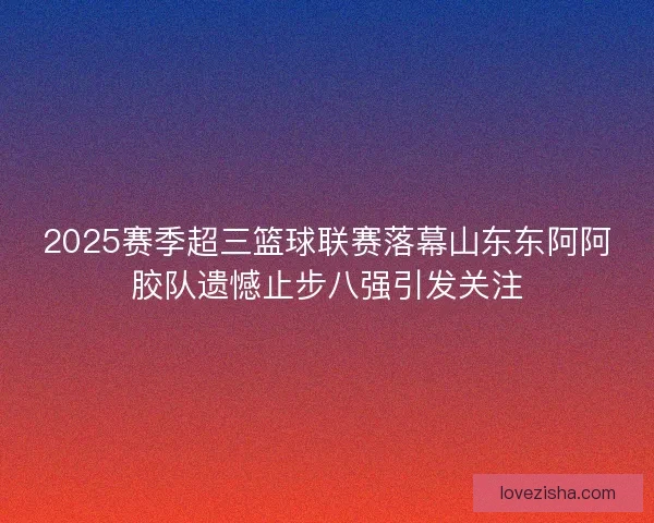 2025赛季超三篮球联赛落幕山东东阿阿胶队遗憾止步八强引发关注