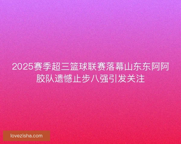2025赛季超三篮球联赛落幕山东东阿阿胶队遗憾止步八强引发关注